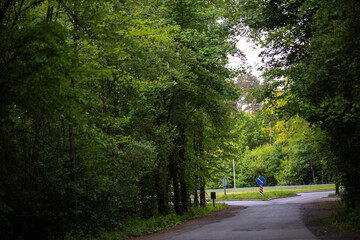 Fototapeta premium A narrow asphalt road emerges from a dense green forest to meet a highway ramp. Road signs are visible on the side of the larger road in the background.