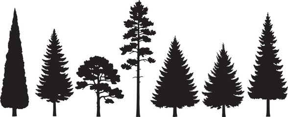 Fototapeta premium Assortment of evergreen tree silhouettes on white background, tree, silhouette, trees, evergreen, pine, fir, cypress, nature, forest, wood, woodland, plant, plants, outdoor, outdoors, landscape, scene