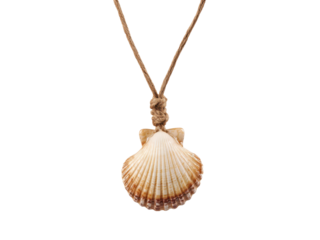 Natural seashell pendant on twine with knot necklace, Isolated, Png Transparent Background
