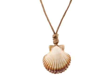 Natural seashell pendant on twine with knot necklace, Isolated, Png Transparent Background