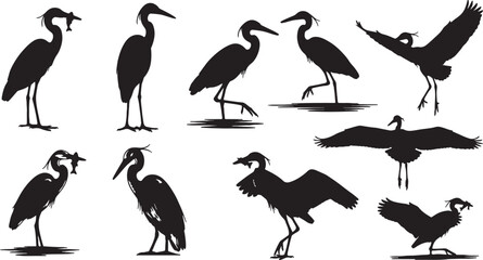 Obraz premium Heron bird silhouettes in various poses with fish wildlife, heron, bird, silhouette, wildlife, nature, animal, flying, standing, fishing, catching fish, fish, wings spread, wading, graceful, elegant, 