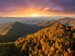 Autumn woods of Appalachian mountains at sunset with yellow and orange canopies in colorful forest....