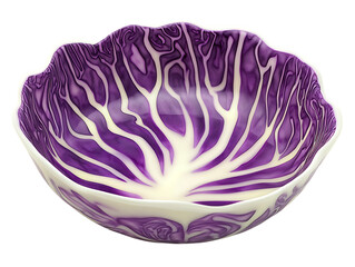 Purple cabbage bowl isolated on transparent background