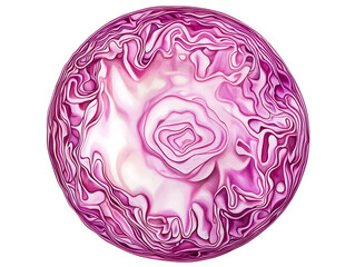 Close up of a sliced red cabbage isolated on transparent background