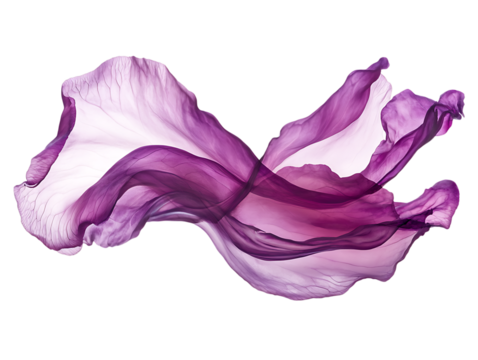 Flowing purple and white fabric swirl isolated on transparent background