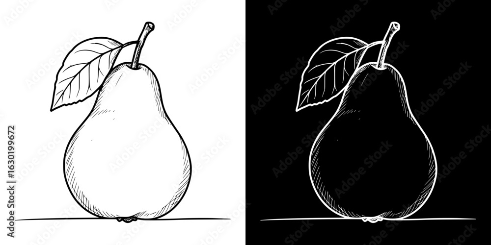 Poster isolated vector image of a pear in two design variants on transparent and black background, pencil d