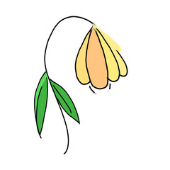 vector illustration of a leaf