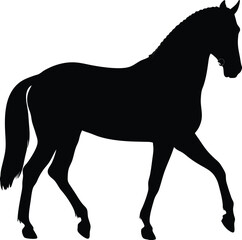 Obraz premium A vector silhouette illustration of a standing black farm animal, a horse, with a wild tail