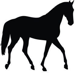 Vector black silhouette of a standing horse with a tail