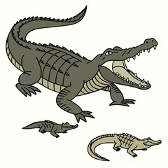 tyrannosaurus dinosaur vector illustration