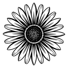 Detailed Sunflower Outline Illustration in Black and White Perfect for Coloring Books and Graphic Design Projects A Simple yet Elegant Floral Design