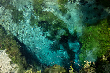 Crystal clear spring water at Blue Eye (Syri i Kaltër) in southern Albania, surrounded by lush green nature and vibrant textures.