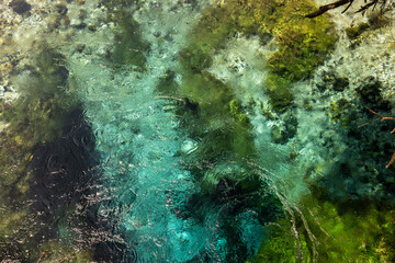 Crystal clear spring water at Blue Eye (Syri i Kaltër) in southern Albania, surrounded by lush green nature and vibrant textures.