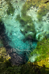 Crystal clear spring water at Blue Eye (Syri i Kaltër) in southern Albania, surrounded by lush green nature and vibrant textures.