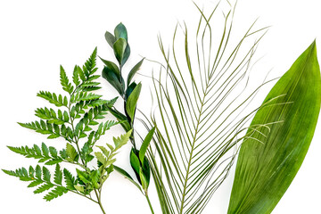Spring composition. Young green leaves and branches on white background top view