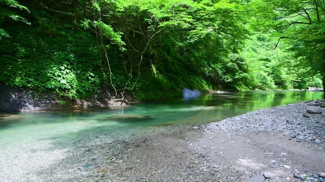 福島県西白河郡西郷村　透き通る清流が流れる阿武隈川