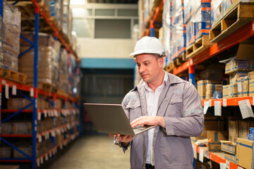 Warehouse Manager in inventory data on a laptop amid stacked pallets.