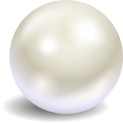 vector illustration of a pure white pearl