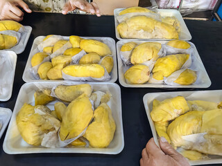 Durian king of fruit was cut and packed ready to eat. Organic ripe and fresh Durian in package at...