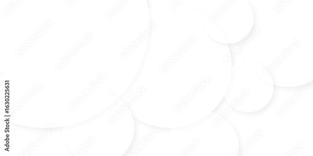 Poster abstract minimal geometric white and gray light background paper design. vector circle element busin