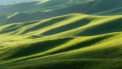 Rolling Green Hills Under Soft Light