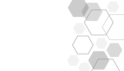 white and blue technology hexagonal abstract background. Abstract Silverl hexagon or digital technology background. Vector abstract graphic design banner pattern presentation background web template.