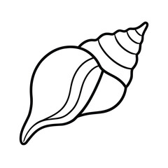 conch shell line art on white background
