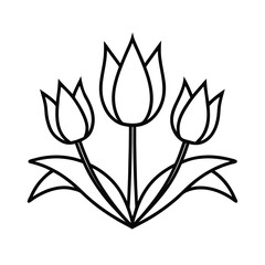 five tulips with ribbon line art on white background 
