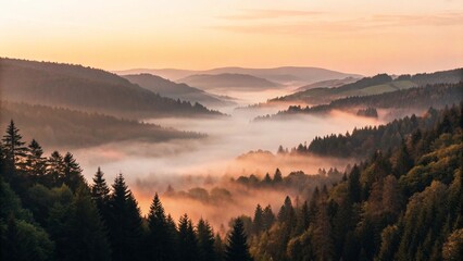 Golden sunrise over a misty mountain valley, with a thick layer of fog settling between the rolling hills. The serene landscape features a dense forest in the foreground, creating a beautiful, peacefu