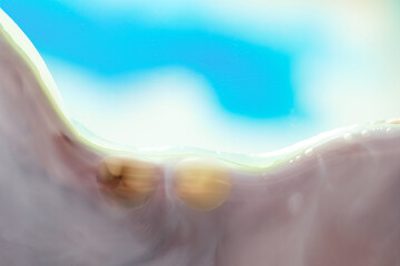 Pastel Liquid Abstracts. Organic fluid shapes with subtle blur and aqua hues. Minimalist and airy composition. Copy space