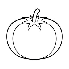 heirloom tomato outline vector on white background