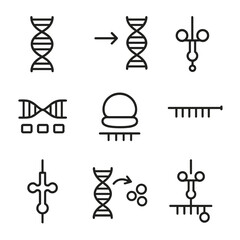 Molecular Genetics Icons. Outline icon set of molecular genetics: RNA strand, transcription, translation, protein synthesis, codon
