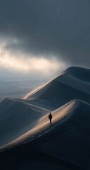 A solitary figure traverses a vast sand dune landscape bathed in ethereal morning light