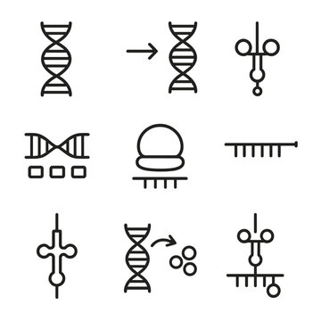 Molecular Genetics Icons. Outline icon set of molecular genetics: RNA strand, transcription, translation, protein synthesis, codon