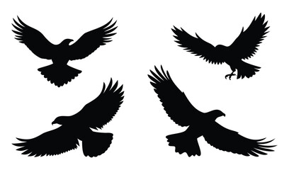 Obraz premium Flying Bird Silhouettes with Spread Wings