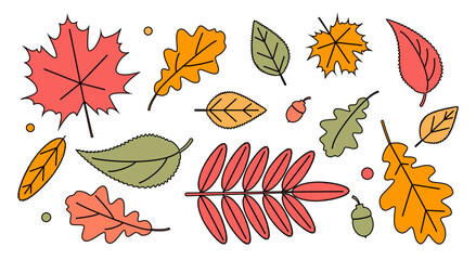 Hand drawn autumn leaves. Set of cute fallen oak, rowan leaves. Colorful autumn elements for background, banner, textile, paper, packaging, wallpaper