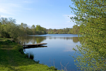 Etang du chateau de Marconnay, Sanxay, Vienne, 86, Region Nouvelle Aquitaine, France