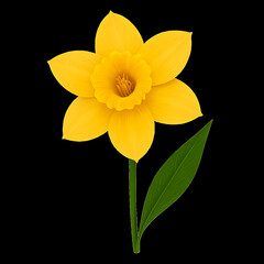 Vibrant Flower PNG Element