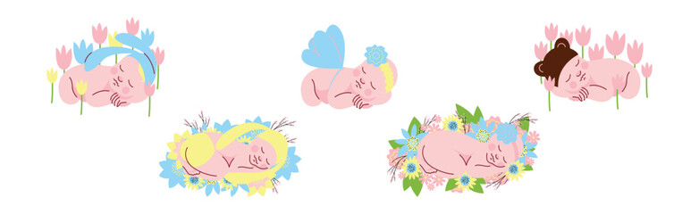 Cute Sleeping Newborn Baby Cuddle and Curled Vector Set