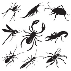 Collection of silhouetted insects and arachnids including spiders scorpion dragonfly and other arthropods