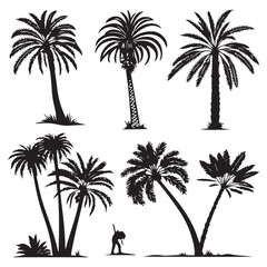 Naklejka premium Collection of silhouetted palm trees in various shapes and sizes against a white background for tropical design