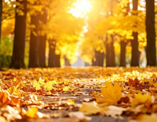 Autumn Forest Golden Leaves