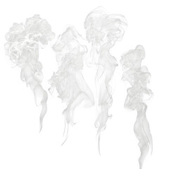 Fototapeta premium Collection of 3 dense steam curls and 2 thin smoke wisps--feathered edges; transparent; 4K. --raw
