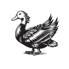 duck silhouette png,duck silhouette svg ,duck silhouette clipart,duck silhouette outline,duck silhouette flying	