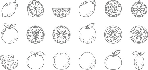 Collection of citrus fruit line art set of lemon, orange, mandarin, and tangerine slice, segment, and peel for healthy food and refreshment
