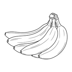 black and white vector images of various fruits