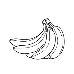 black and white vector images of various fruits