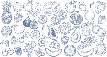 Hand-Drawn Sketch Fruits and Berries Vector Illustration