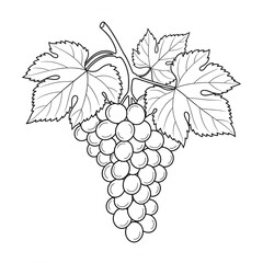 black and white vector images of various fruits