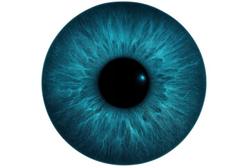 Detailed Close Up of a Blue Eye on Transparent Background
